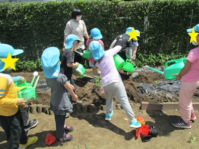 子ども達が畑に水やりをしている様子の写真