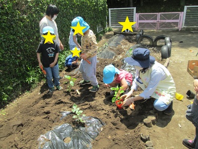 子ども達が苗を植えている様子の写真