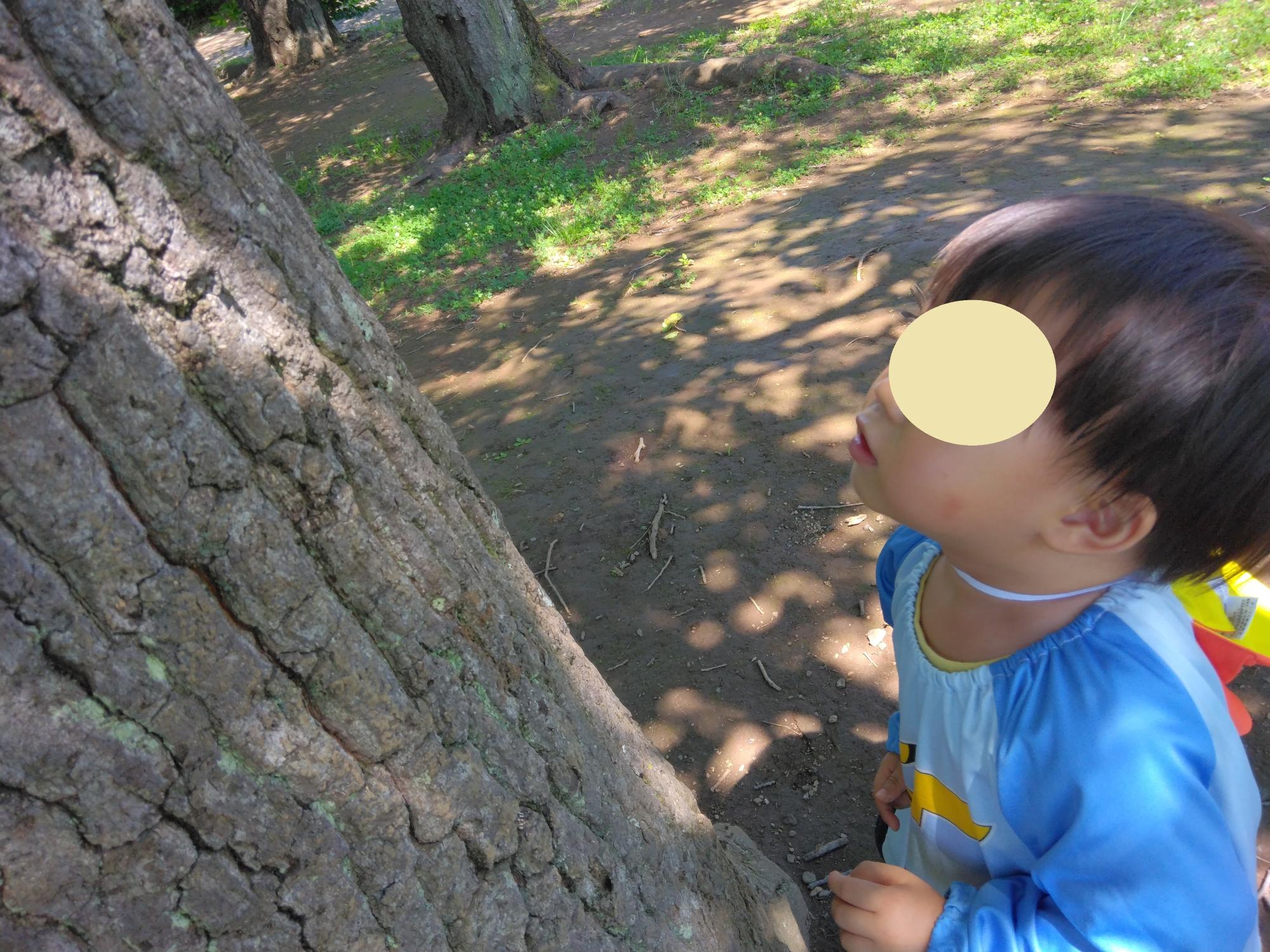 虫を発見。じっと観察