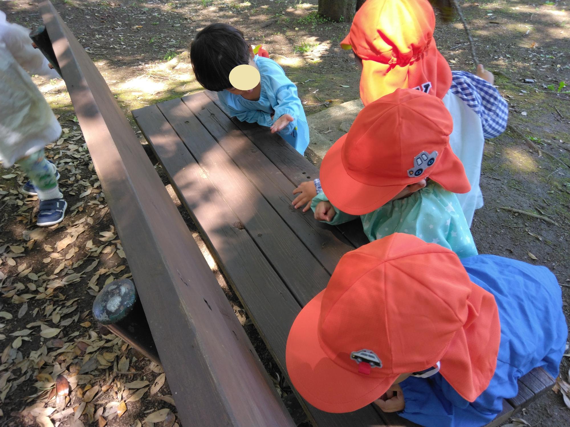 公園で虫探し