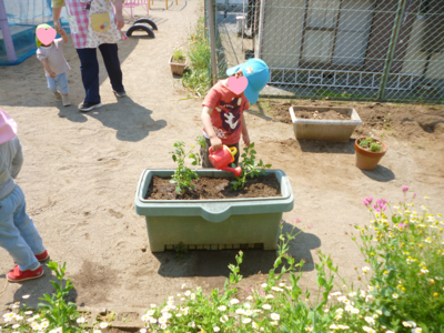 赤い服を着た子供がプランターの植物にじょうろで水をかけている写真