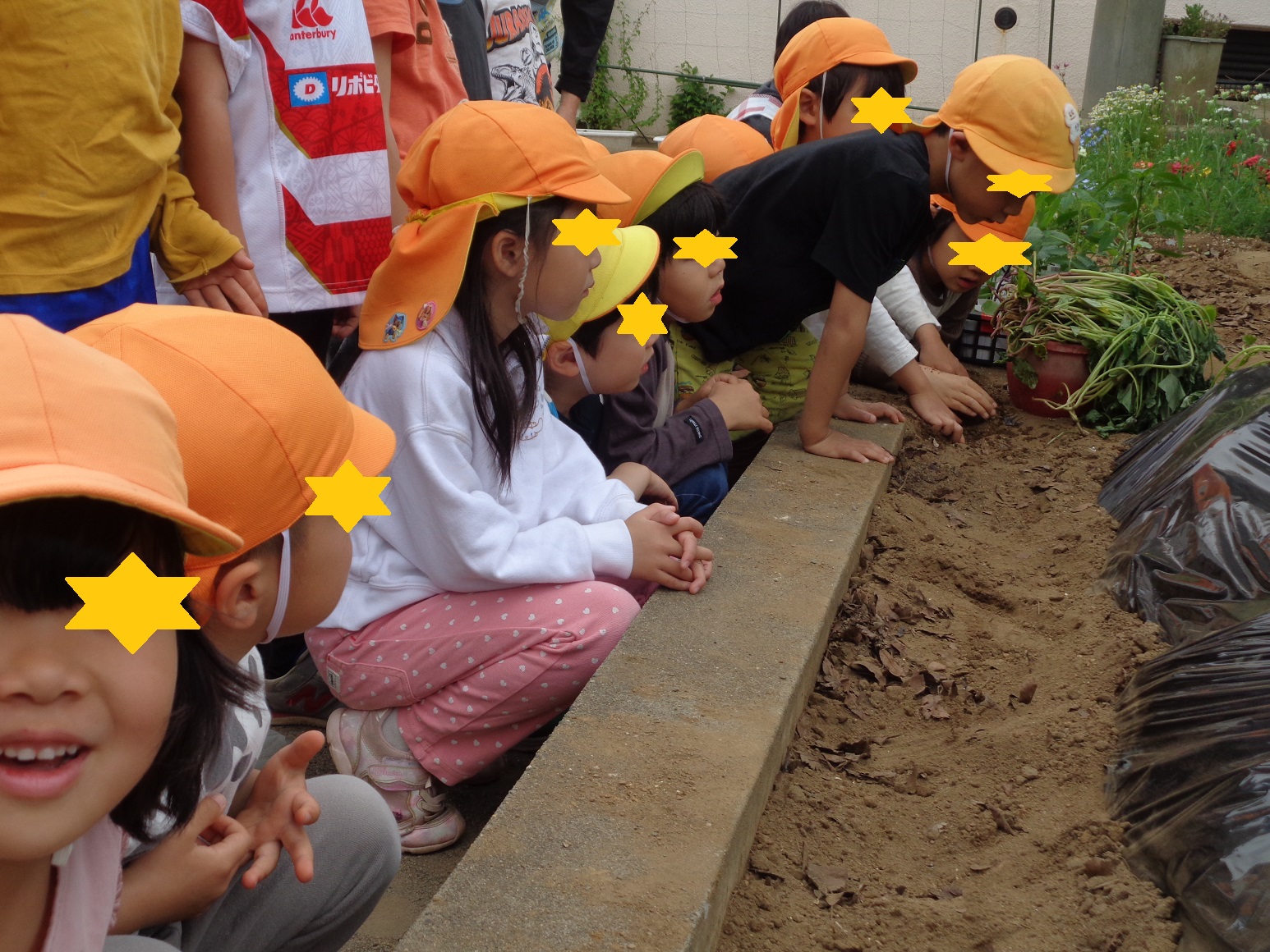 花壇の前に子供たちが座り土の中をのぞき込んでいる