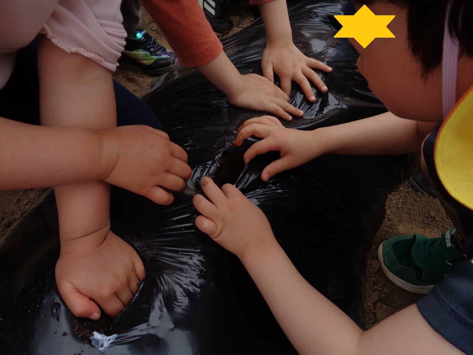 黒色ののビニールで土を覆い子どのたちの手でビニールに穴を開けている
