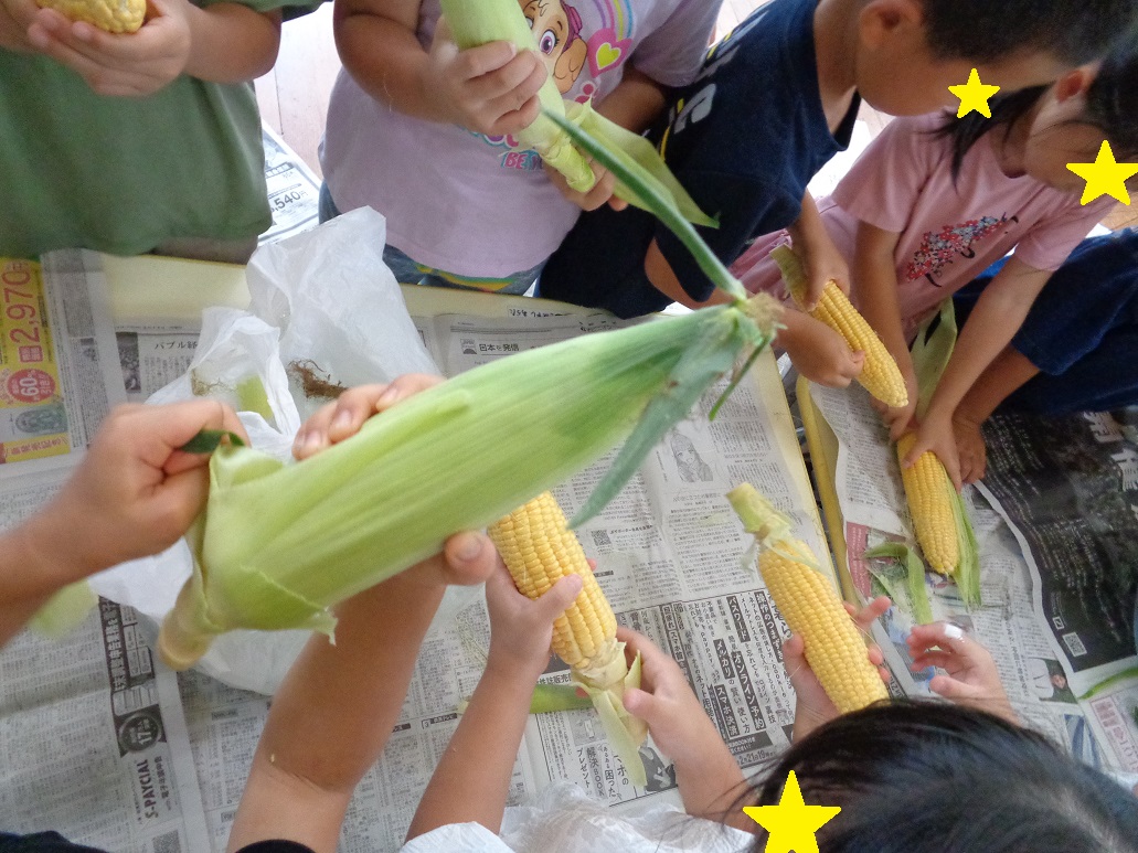 トウモロコシを手に持ち皮を子どもたちが剥いたり茎を折ろうと持つ子どももいる