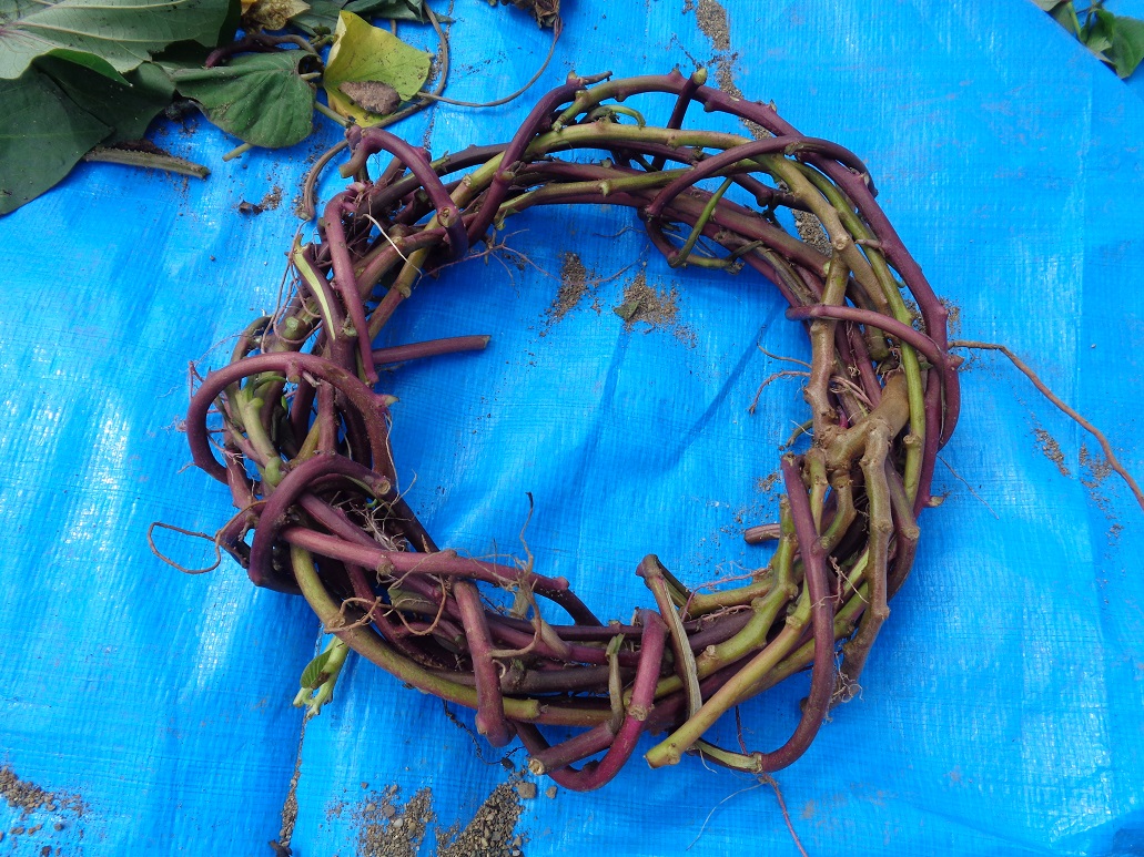 サツマイモの蔓で作ったリース