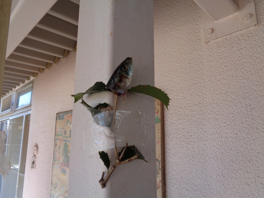 ヒイラギとイワシの頭を飾りました