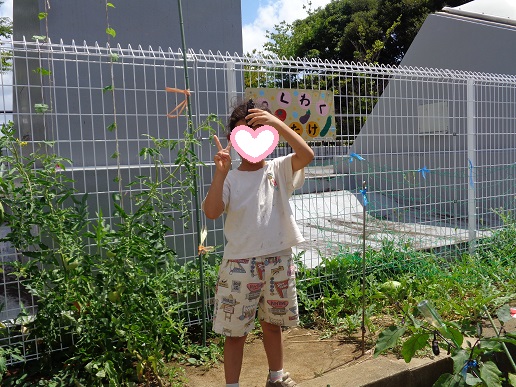 収穫したナスを額に当て「ちょんまげ」おさむらいさんポーズ