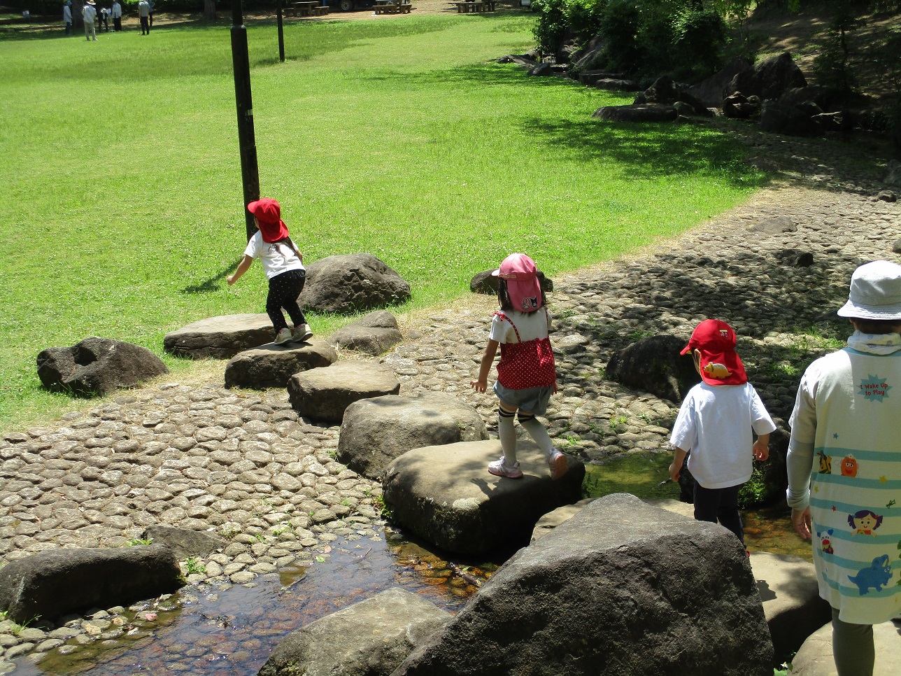 公園の小川の石をジャンプしながら渡っている