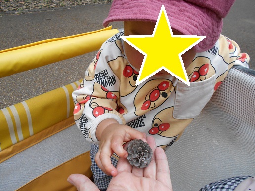 まつぼっくり見つけた