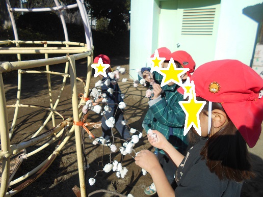 もちを木につけているところ