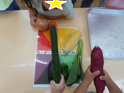 野菜の色分け