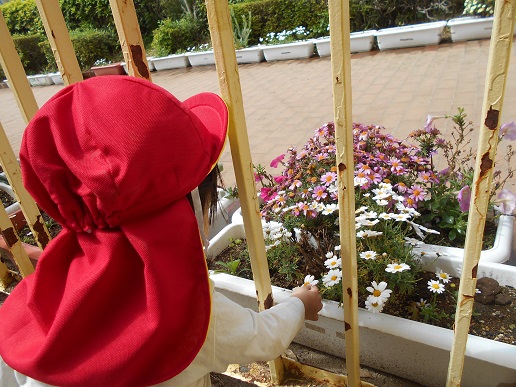 1歳児花摘み