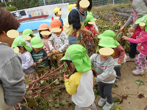 芋づるを引っ張る