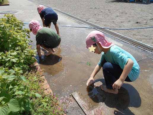 水たまり遊び