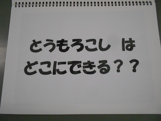 とうもろこしの説明