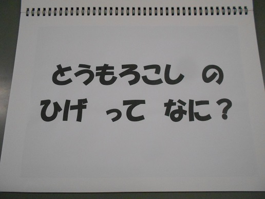 とうもろこしの説明