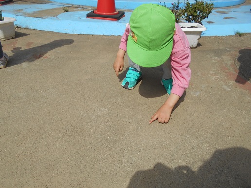あり探し