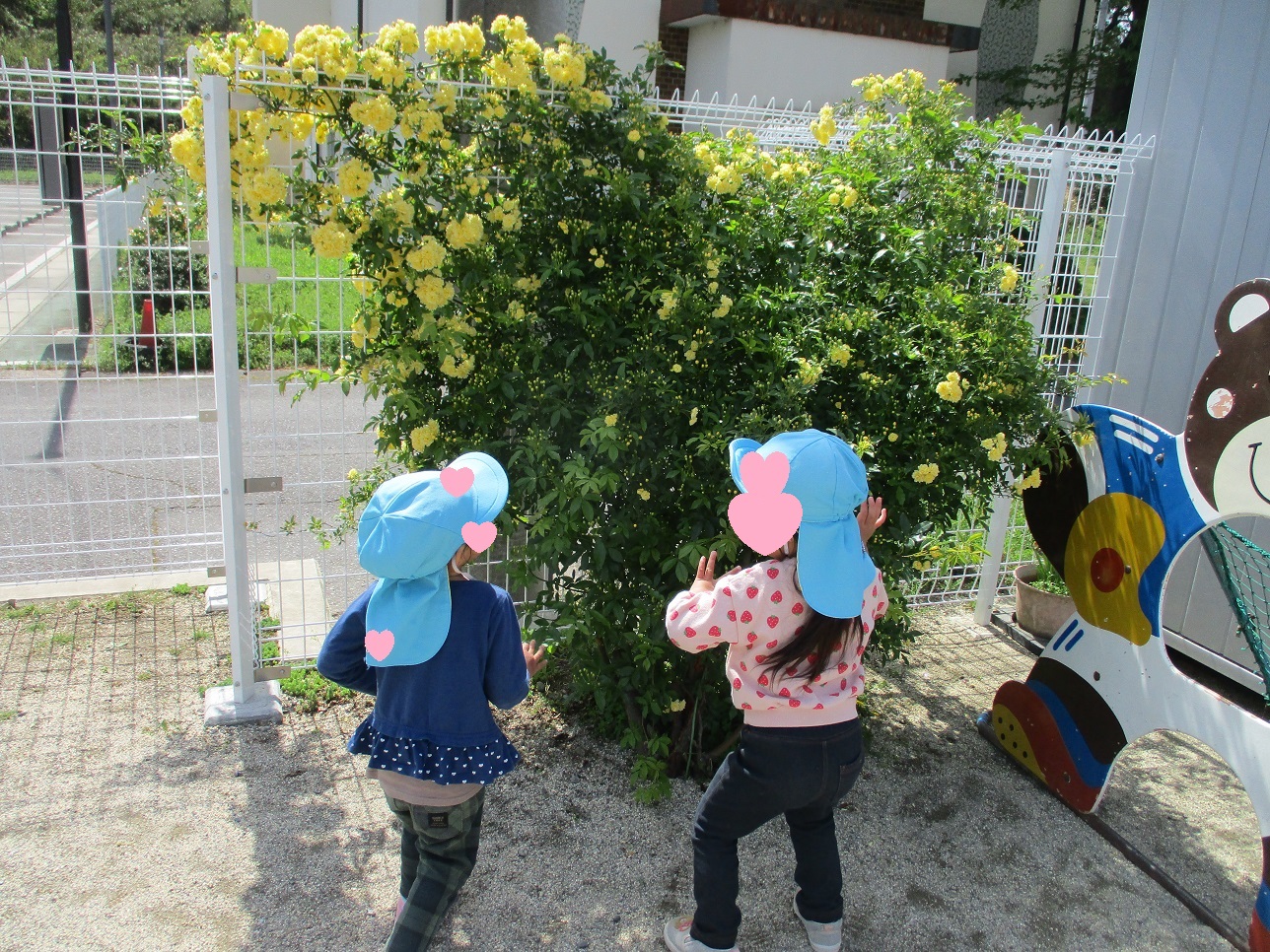 庭の花を見るこどもたち